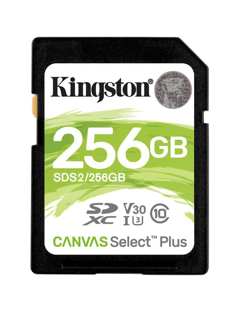 Memoria SD 256GB Kingston Canvas Select Plus UHS-I Classe 10