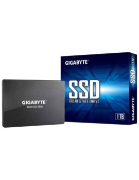 Gigabyte GP-GSTFS31100TNTD...