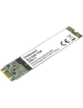 Intenso SSD 256GB Top M.2...