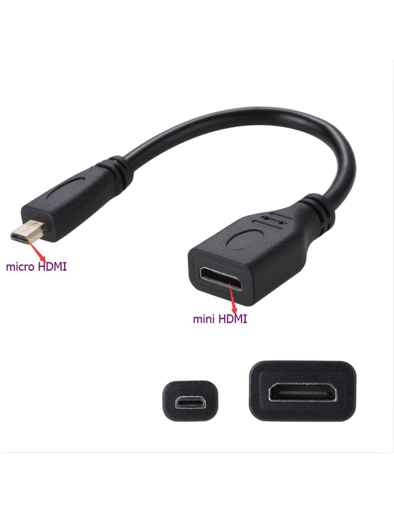 LinQ Adattatore Video da Micro HDMI Maschio a Mini HDMI Femmina